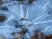 Sternförmiges Muster in dünner Eisschicht